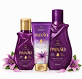 Paixão Irresistível – Fleur de Lis |Trio Corps